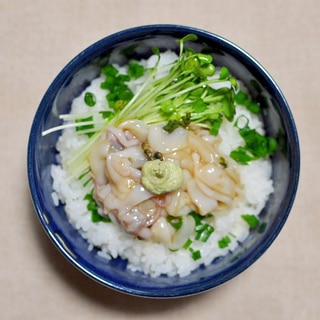 やりいかの漬け丼